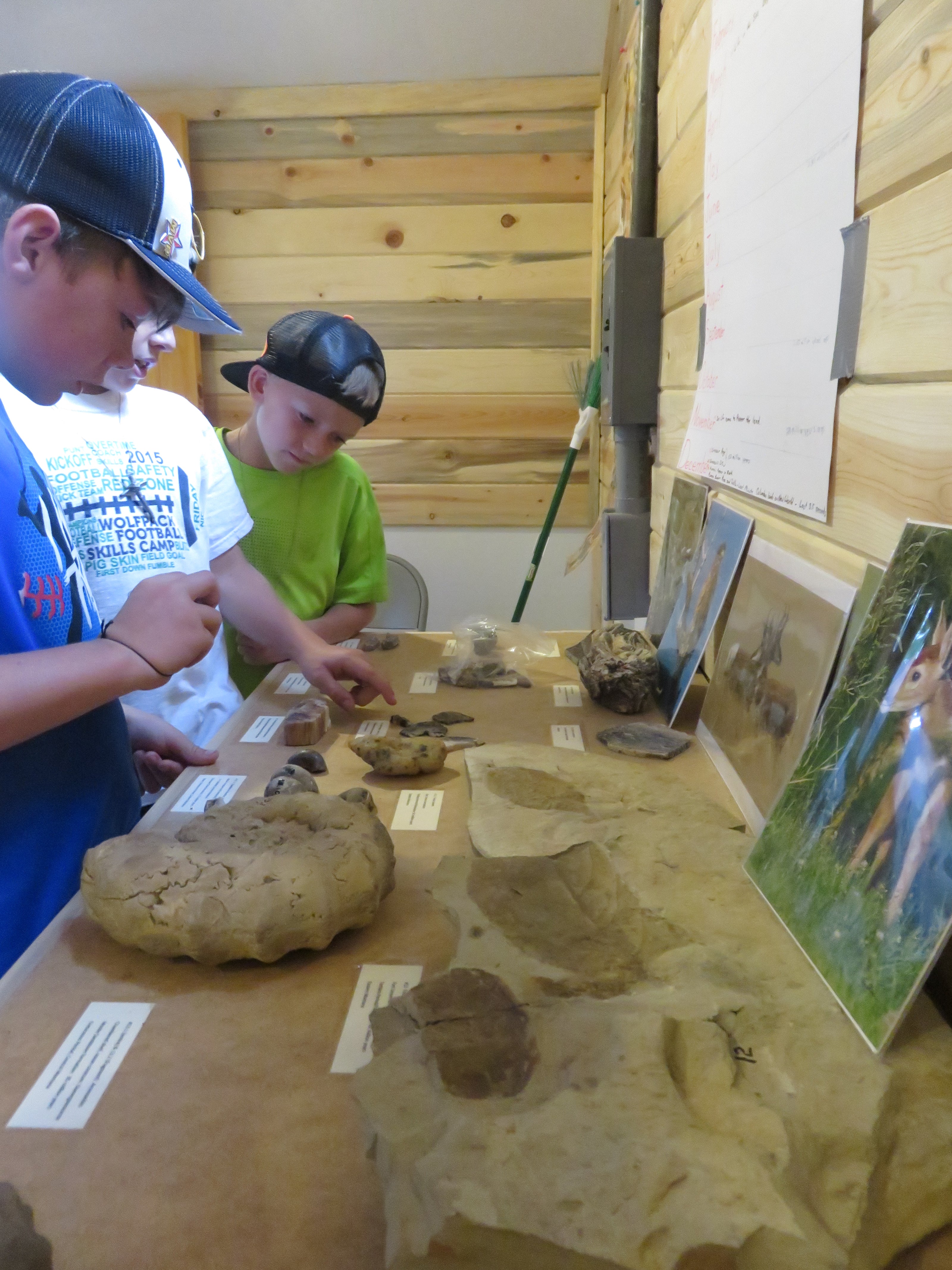 Students in the Environmental Educational program make new discoveries in the science center. 